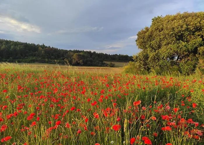 Gite A La Campagne, Proche Carcassonne